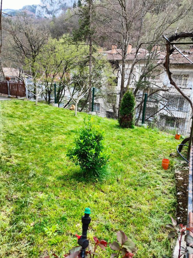Дом Бакалски-Кмета Narechenski Bani Exterior foto